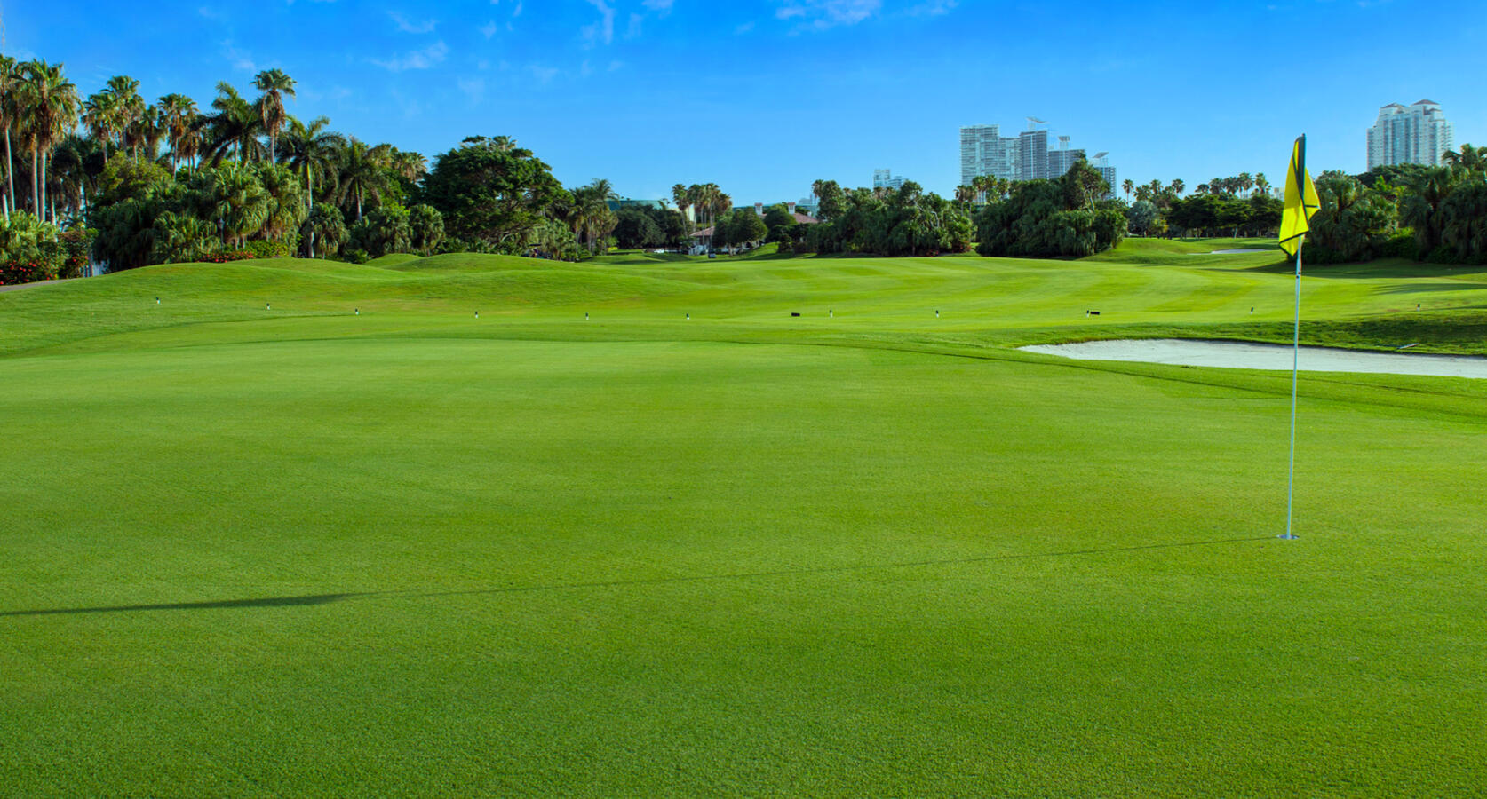 Golf Court